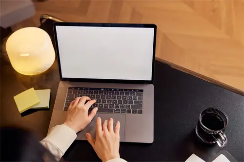 仲夏奇遇活动攻略